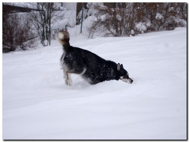 080 Februar 2010 209.jpg